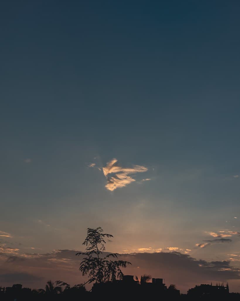 The Sky