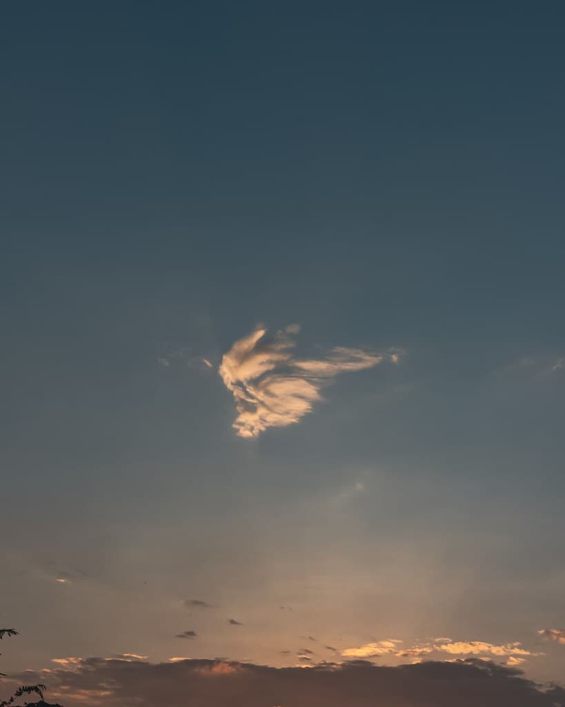 The Sky